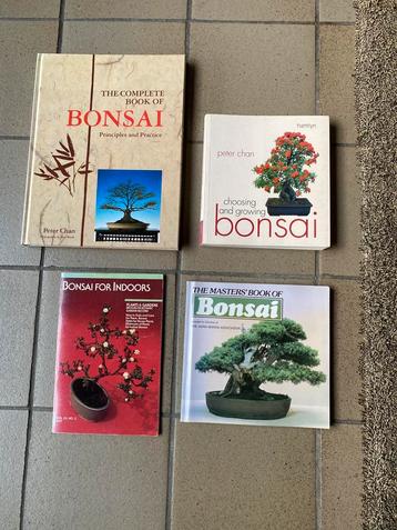 Bonsai english books Peter Chan a o beschikbaar voor biedingen