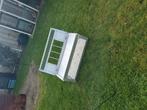 Spoetnik postduiven, Dieren en Toebehoren, Vogels | Duiven, Mannelijk, Postduif