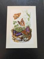 10 prenten insekten soorten vlinders 19x27 cm samen 20 euro, Antiek en Kunst, Ophalen of Verzenden, Natuur en Biologie