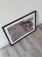 Lijst, Huis en Inrichting, Woonaccessoires | Lijsten, Ophalen, Zo goed als nieuw, Hout, Minder dan 50 cm