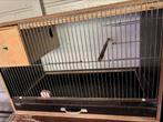 Broedkooi, Dieren en Toebehoren, Vogels | Hokken en Kooien, Ophalen, Zo goed als nieuw, Broedkooi of Kweekkooi