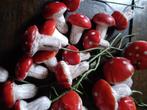 Leuke set van  32 paddenstoelen met steeltjes, Antiek en Kunst, Verzenden