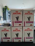 Royal Canin Renal fish natvoer kat, Dieren en Toebehoren, Dierenvoeding, Ophalen, Kat