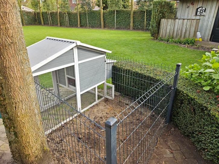 Kippenhok met ren, Dieren en Toebehoren, Pluimvee | Toebehoren, Gebruikt, Kippenhok of Kippenren, Ophalen