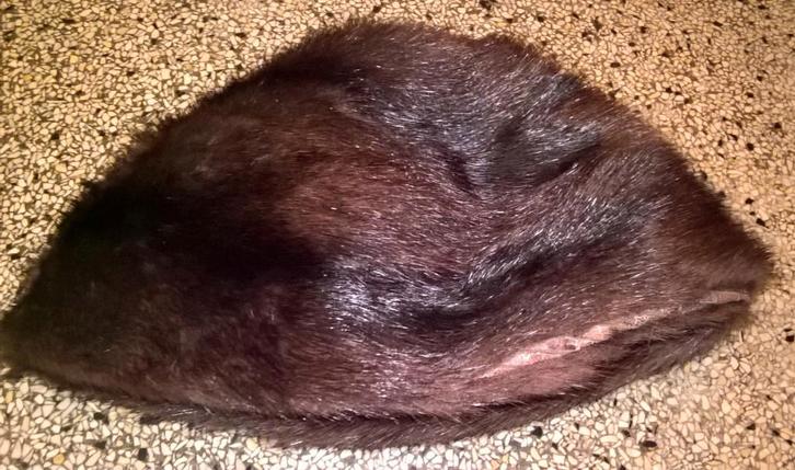 2 Nerts Vintage Bontmuts Prijs per stuk!, Kleding | Dames, Mutsen, Sjaals en Handschoenen, Gedragen, Muts, Maat 38/40 (M), Verzenden