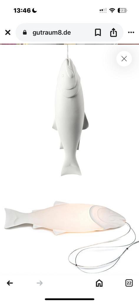 Pols Potten Mykiss vislamp, Huis en Inrichting, Lampen | Hanglampen, Zo goed als nieuw, Minder dan 50 cm, Ophalen