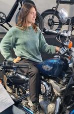 HARLEY-DAVIDSON XL 53 C Sportster Custom Anniversary (bj 200, Motoren, 2 cilinders, HARLEY-DAVIDSON, Bedrijf, Onbekend