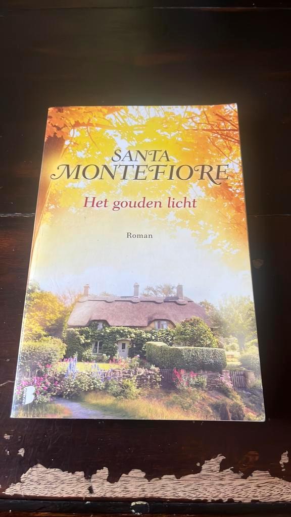 Santa Montefiore - Het goed licht, Boeken, Romans, Gelezen, Nederland, Ophalen of Verzenden