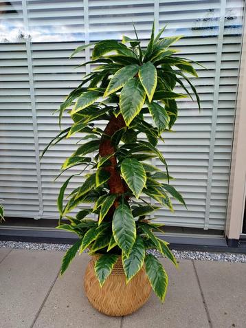 Kunstplant/Boom 120cm - Realistisch & Uniek! beschikbaar voor biedingen