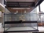 exo terra 60x45x45 met aangepaste deksel, Ophalen, Anthonie fokkerstraat 57P, De Reptielenboer, Gebruikt