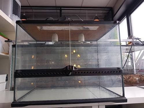 exo terra 60x45x45 met aangepaste deksel, Dieren en Toebehoren, Reptielen en Amfibieën | Toebehoren, Gebruikt, Terrarium of Paludarium
