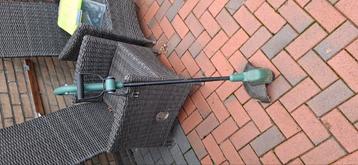 Bosmaaier  beschikbaar voor biedingen