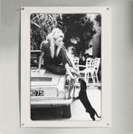 Brigitte Bardot Teckel Dachshund kunst print | poster, Ophalen of Verzenden