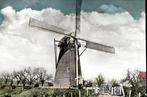 (GD057) Ansichtkaart Beesd molen De Vrijheid 1955, Verzamelen, Ansichtkaarten | Nederland, Verzenden, 1940 tot 1960, Gelopen, Gelderland