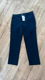 Esqualo, Ophalen of Verzenden, Zo goed als nieuw, Maat 38/40 (M), Blauw