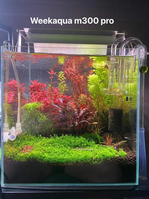 weekaqua m300 pro aqaurium Licht led, Dieren en Toebehoren, Vissen | Aquaria en Toebehoren, Zo goed als nieuw, Verlichting of Verwarming