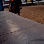 Bijrijder aangeboden, Ophalen of Verzenden