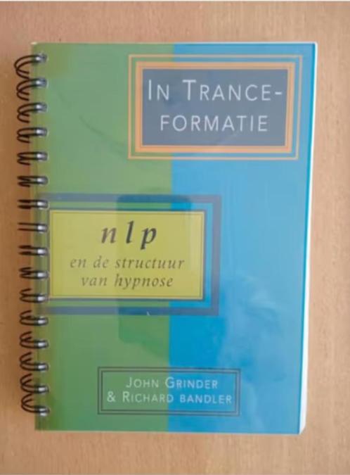 Richard Bandler & John Grinder - In Trance-formatie, Boeken, Psychologie, Zo goed als nieuw, Ophalen of Verzenden