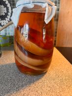 Kombucha thee van scoby, Ophalen of Verzenden