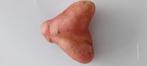 Te koop: unieke hartvormige aardappel, Ophalen of Verzenden, Nieuw