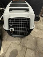 Hond transportbox, Ophalen, Gebruikt
