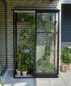 Tuinkas Qube LT 24, zwart, VG 3mm + PC 6 mm, Verzenden, Nieuw