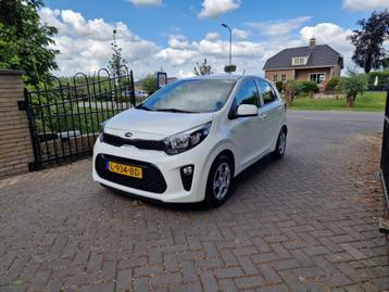 Kia Picanto 1.0 DPi ComfortLine 5p origineel NL en NAP. beschikbaar voor biedingen