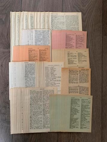 Themapakket ‘woordenboek’ 175 pagina’s (scrapbook/journal) beschikbaar voor biedingen