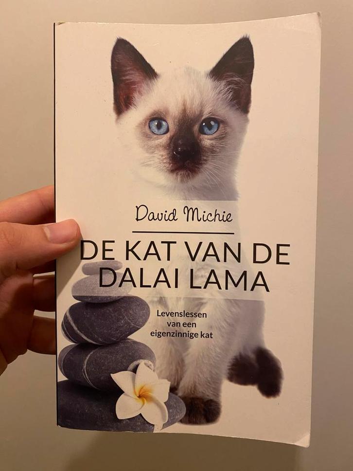 De Kat van de Dalai Lama - David Michie, Boeken, Esoterie en Spiritualiteit, Gelezen, Verhaal of Roman, Spiritualiteit algemeen