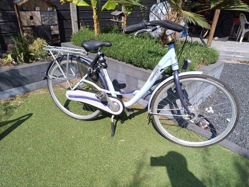 Montego Liberty 28 inch moederfiets – met dubbele standaard, Fietsen en Brommers, Fietsen | Dames | Moederfietsen, Gebruikt, Overige merken