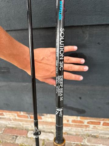 Deep sea hengel beschikbaar voor biedingen