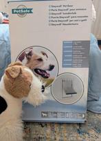 Staywell Petsafe honden Luik Nieuw!, Dieren en Toebehoren, Honden-accessoires, Ophalen of Verzenden, Nieuw