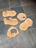 schijven boomschijven hout mooie droog schijven, Ophalen, Nieuw, Knutselwerk