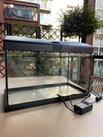 40L aquarium with all needed accessories, Ophalen, Zo goed als nieuw, Leeg aquarium