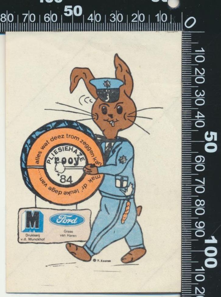 Sticker: Pliesiehaze 1984 - Rooy, Verzamelen, Stickers, Zo goed als nieuw, Bedrijf of Vereniging, Ophalen of Verzenden