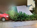 Katoenen stormtent met kuipzeil, Caravans en Kamperen, Ophalen of Verzenden