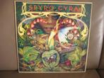 Spyro Gyra – Morning Dance, Cd's en Dvd's, Vinyl | Jazz en Blues, 1960 tot 1980, Ophalen of Verzenden, Zo goed als nieuw, 12 inch