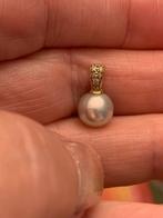 14k goud hanger met echte Akoya parel en 6 pavé diamantjes, Met edelsteen, Overige voorstellingen, Nieuw, Ophalen of Verzenden