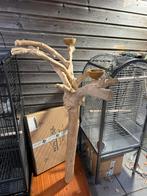 Javaboom groot, Dieren en Toebehoren, Ophalen, Zo goed als nieuw, Kooi-accessoires