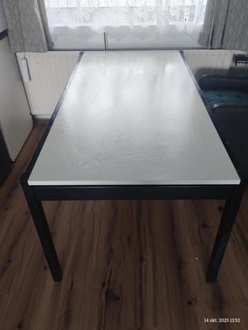 Pastoe eettafel voor 6 tot 10 personen beschikbaar voor biedingen