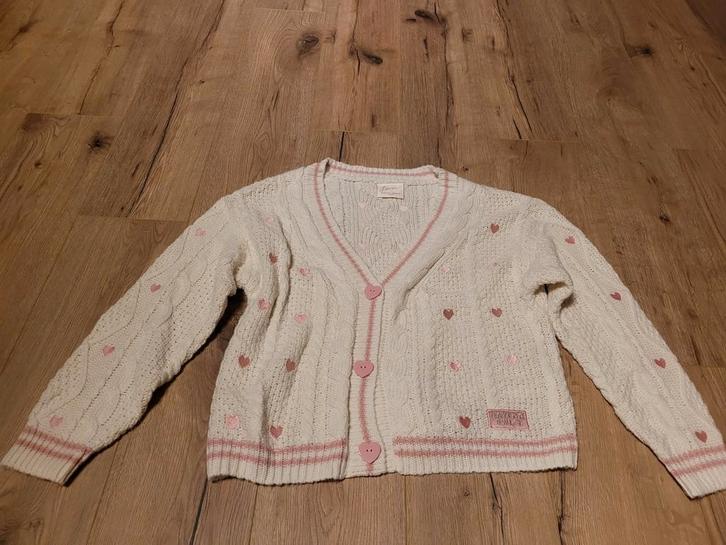 Nieuw Taylor Swift Lover Cardigan maat XS/S, Kleding | Dames, Truien en Vesten, Nieuw, Maat 36 (S), Ophalen of Verzenden