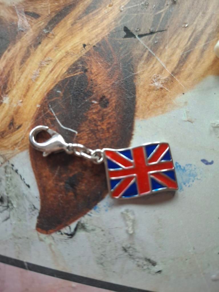 Leuk bedeltje, Ophalen of Verzenden, Overige materialen, Overige merken