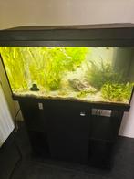 Juwel aquarium met onderkast, Dieren en Toebehoren, Vissen | Aquaria en Toebehoren, Ophalen, Gebruikt, Gevuld zoetwateraquarium