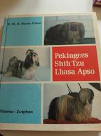 pekinees Shih Tzu Lhasa apso, Gelezen, Ophalen of Verzenden