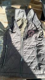 Bodywarmer paarden praat tv mt 140, Verzenden, Zo goed als nieuw, Bovenkleding