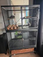 Knaagdieren Kooi XL chinchillas/konijnen/ratten.., Ophalen, Kooi, Zo goed als nieuw, 90 cm of meer