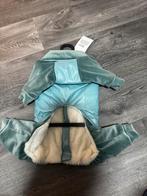 hondenjasje, Hondenkleding, Dieren en Toebehoren, Hondenkleding, Ophalen of Verzenden, Hondenjas