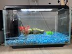 Superfish home 25 aquarium, Ophalen, Zo goed als nieuw, Verlichting of Verwarming