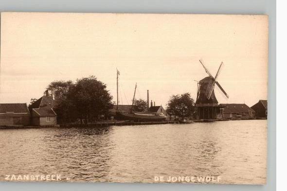 Zaanstreek FOTOKAART Molen De jonge Wolf + Scheepswerf, Verzamelen, Ansichtkaarten | Nederland, Ongelopen, Noord-Holland, Voor 1920