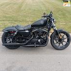 Harley Davidson XL 883N Sportster Iron 2020, Chopper, Bedrijf, 883 cc, Meer dan 35 kW